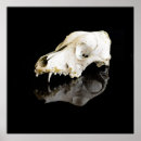Search for dead head art Death