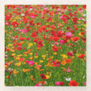 Search for poppy coasters Summer