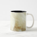Search for miniature poodle mugs Close up