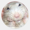 Search for pet rat stickers Rodent