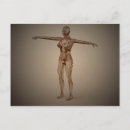 Search for nervous system postcards Medical