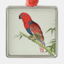 Search for ornithology christmas tree decorations Ornithological
