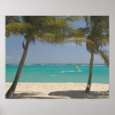 Search for windsurf art Sea