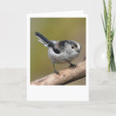 Search for tits Bird