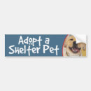 Search for yellow lab bumper stickers Pet