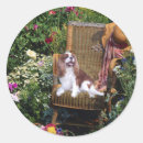 Search for cavalier king charles spaniel stickers Puppies