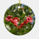 Search for trumpet christmas tree decorations Flowers
