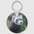 Search for ferret ferret key rings Polecat