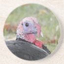 Search for turkeys coasters Gobble gobble
