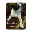 Search for rescue dogs rectangular magnets Puppy