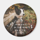 Search for paw print magnets Cat