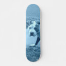 Search for pitbul skateboards White