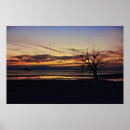Search for dead tree posters Photography