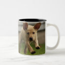 Search for dog running mugs Pets