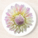 Search for dahlia flower coasters Garden