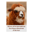 Search for farm humour posters Cute
