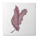 Search for maple leaf tiles Nature