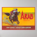 Search for arabs posters Collection