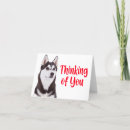 Search for siberian cards Cute