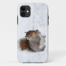 Search for squirrel photo iphone cases Animals