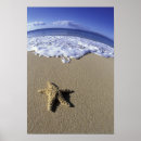 Search for makena posters Darrell gulin