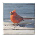 Search for cardinal tiles Red