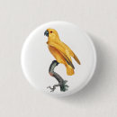 Search for parrots badges Bird