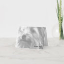 Search for yorkie cards Animal