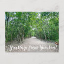Search for mayan postcards Yucatán