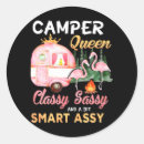 Search for classy and sassy stickers Camper