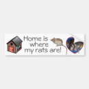 Search for rat bumper stickers Dumbo