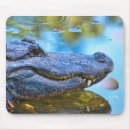 Search for gators electronics Wildlife