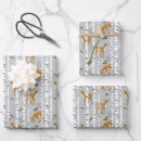 Search for white birch wrapping paper Forest