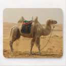 Search for camel mousepads Desert