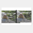 Search for squirrel stickers Humour