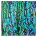 Search for abalone tiles Seashell