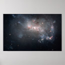 Search for evolution art Celestial