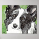 Search for border collie posters Canine