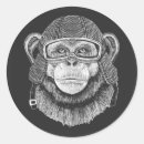Search for chimpanzee stickers Funny