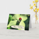 Search for ladybug birthday cards Floral
