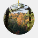 Search for new hampshire christmas tree decorations Autumn