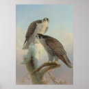 Search for falcon art Antique