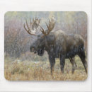 Search for moose mousepads Tree