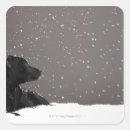 Search for watch dog stickers Animal
