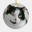 Search for cat photo christmas tree decorations Family pet