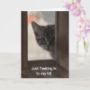 Search for cute kitten thinking of you cards Animal