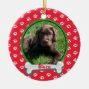 Search for pets christmas tree decorations puppy