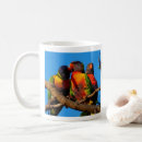 Search for lorikeet mugs Rainbow