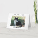 Search for blank nature cards Cat