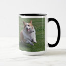 Search for pembroke mugs Animals